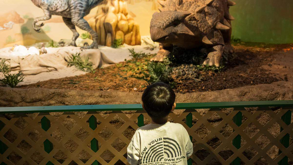 Miami Children’s Museum is offering new and fun programs for kids and families.