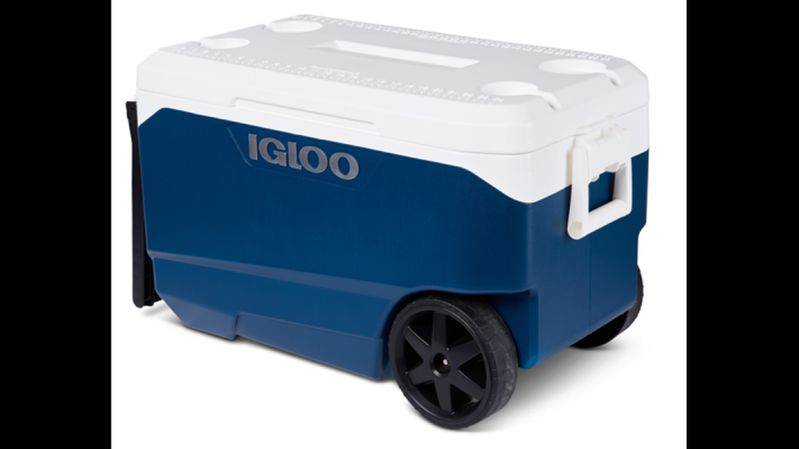 Over one million Igloo coolers recalled after broken fingers and fingertip amputations