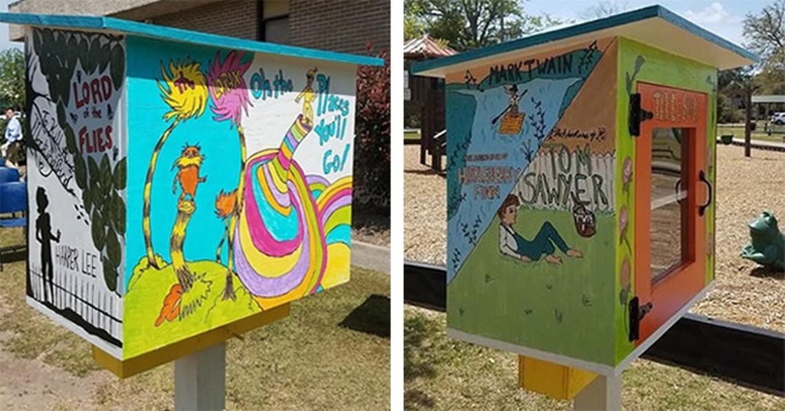 Mini-libraries would give more families free access to books.