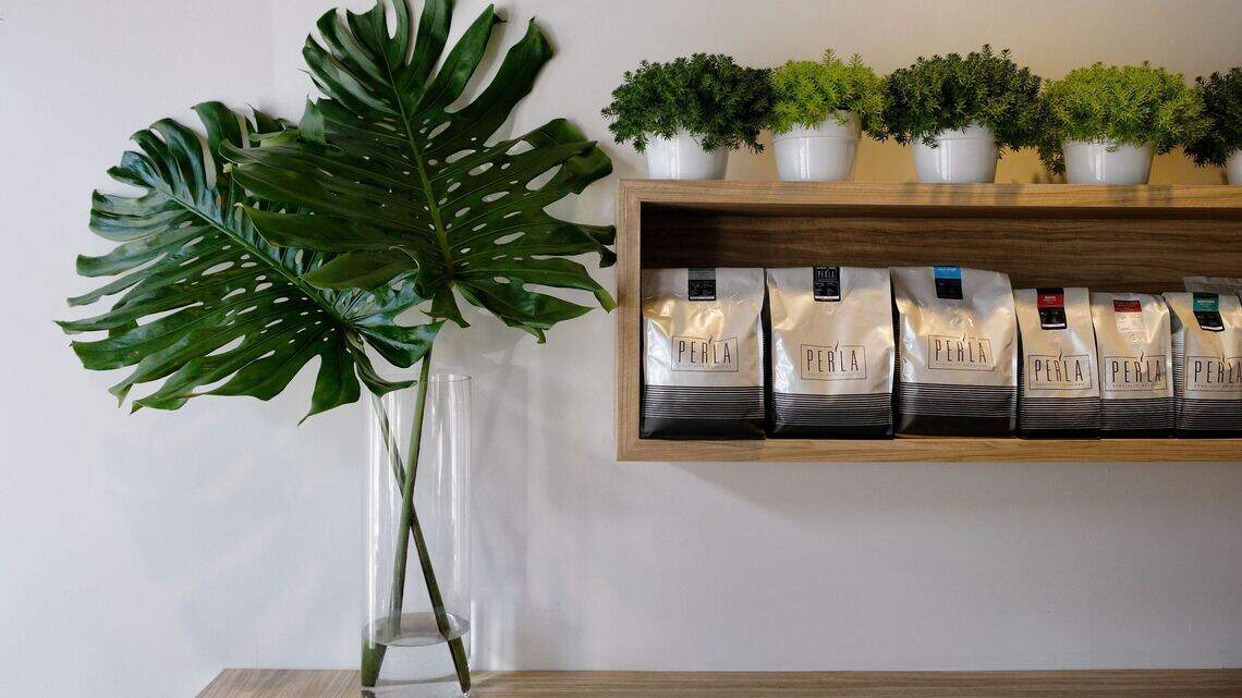 Luxury Brand Partners’ Mark Rockwood talks to INDULGE about his favorite things in the 305