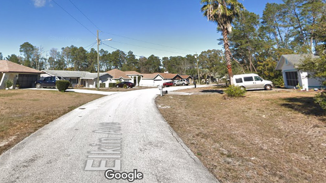 One body was found in woods and another was hanging from a tree in Spring Hill, Florida, officials say.