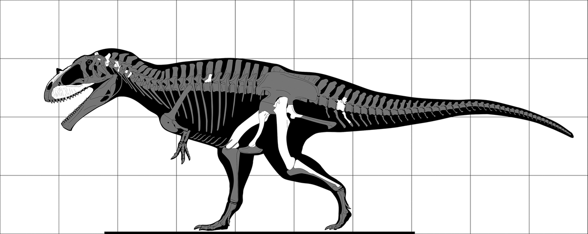 Bones of the face, legs and spine of the large dinosaur were found in central Egypt and brought back to Germany to be studied.