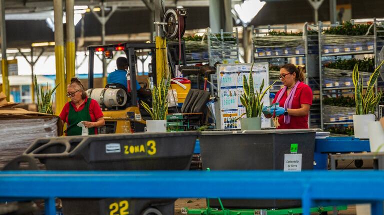 Miami farm workers’ last hope for heat protection regs appears dead under Trump