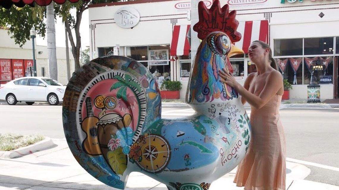 Find someone who looks at you like this gringa looks at this rooster.