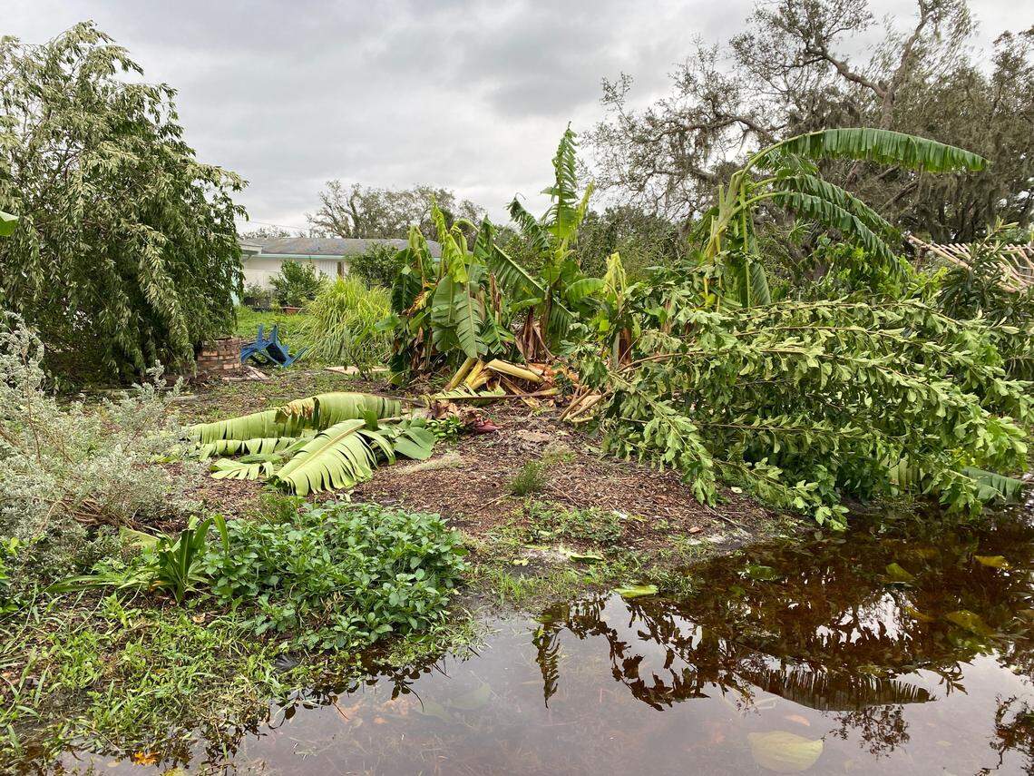 The damage days after after Hurricane Ian hit Sulcata Grove, a family farm near Sarasota, Florida, on Sept. 28, 2022. The owner, Celeste Welch, said she and other farmers are waiting to assess their losses.