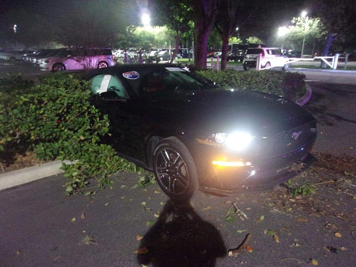 A disabled Mustang that crashed inside the parking lot at Palm Coast Ford during an attempted car theft.
