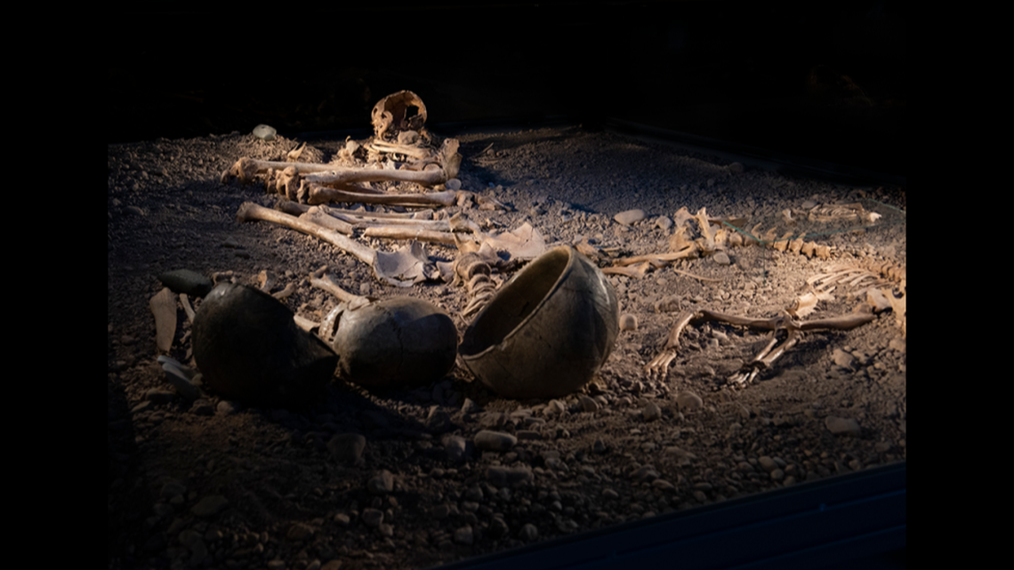 Stone Age remains found in Sweden and Norway were analyzed for ancient bacterial DNA, researchers said.