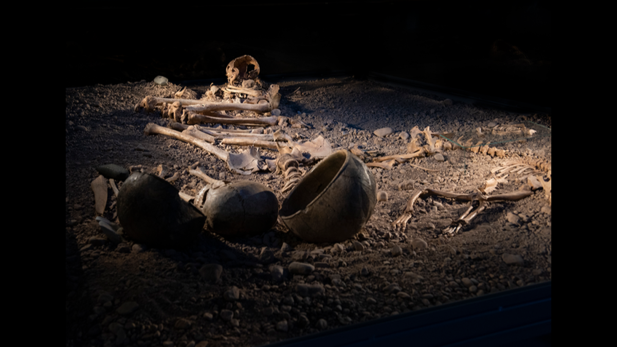 Stone Age remains found in Sweden and Norway were analyzed for ancient bacterial DNA, researchers said.
