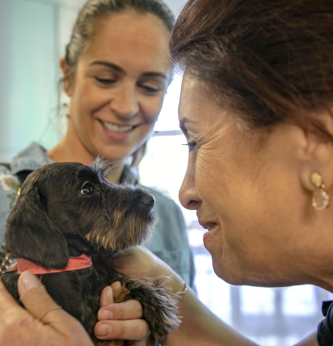 Nadia Ramia, right, dotes on her newly adopted puppy Bruna in the lobby at the Miami-Dade Animal Services Pet Adoption & Protection Center.