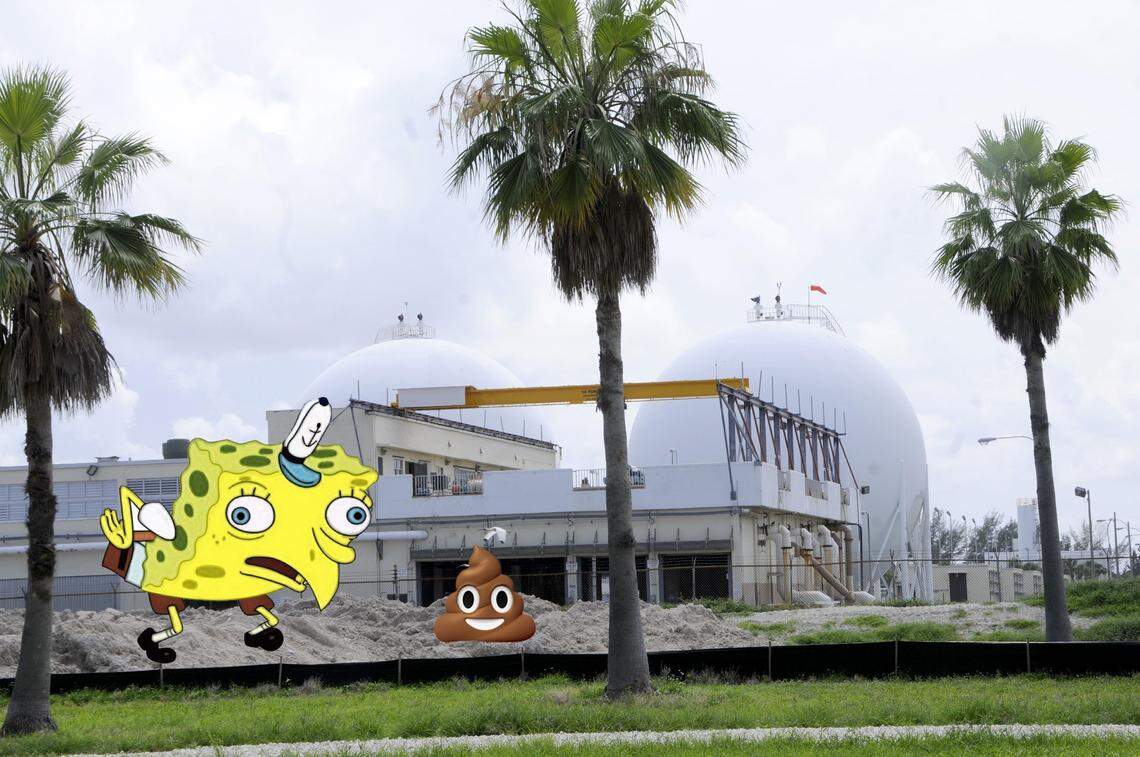 Ultra crowds will keep it clean.