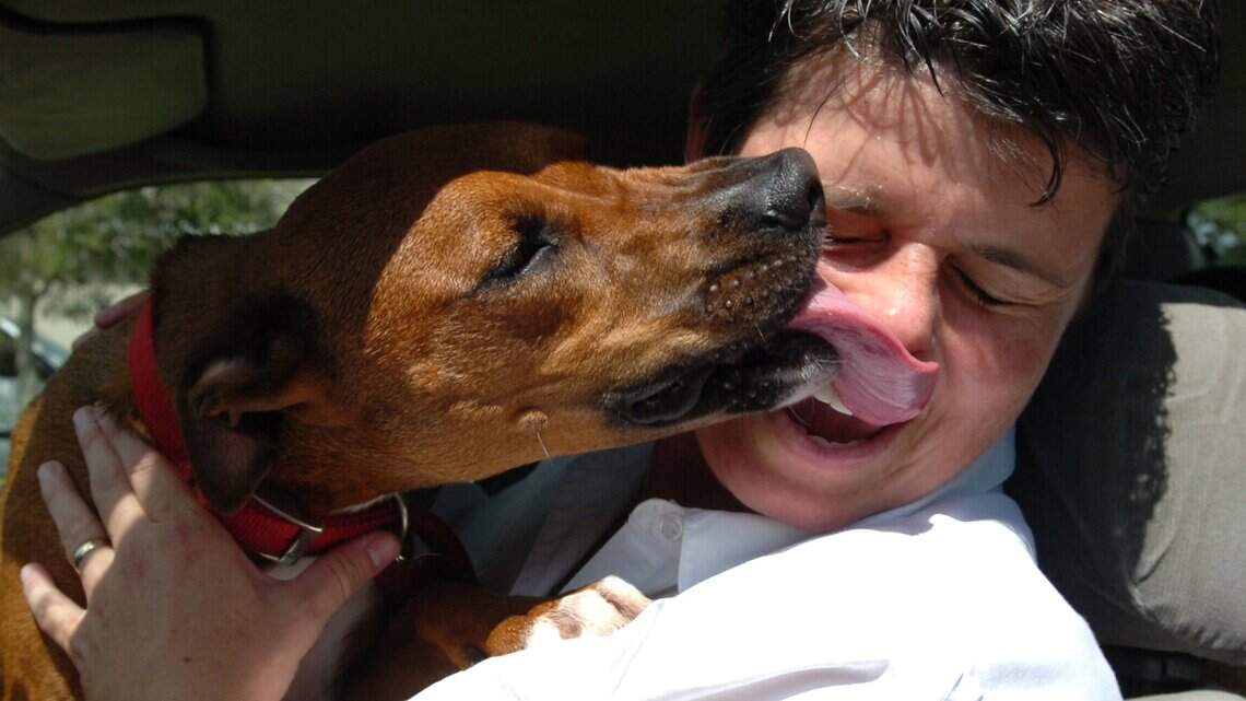So, your dog (or cat) licked the skincare products off your skin. Is that dangerous?