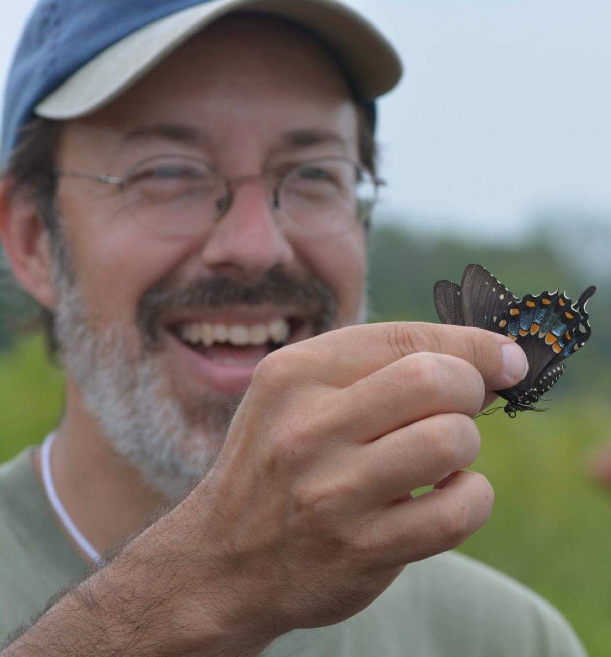 Jaret Daniels, curator of lepidoptera at the University of Florida Museum.
