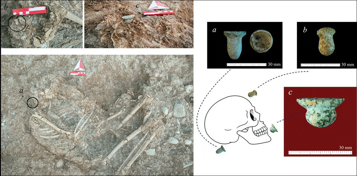 The pieces were found in situ, or next to, the skulls of the remains, likely settling as the ears and lips of the bodies decomposed, the study said.