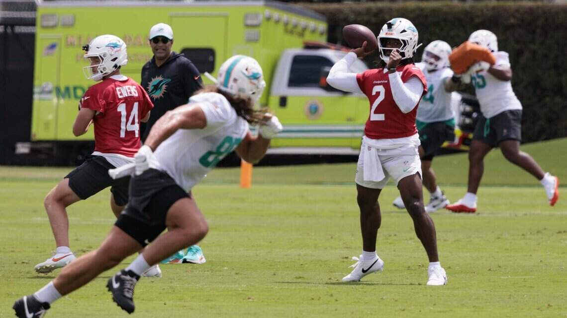 Kelly: Who are the Miami Dolphins’ top 15 newcomers? | Opinion