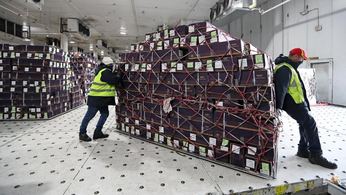 A shipment of flowers from Ecuador arrive for inspection for harmful pests by Agriculture Specialist with U.S. Customs and Border Protection at Avianca Cargo facility at Miami International Airport on Thursday, February 11, 2021 as final shipments arrive for Valentines Day. MIA receives 89 percent of all U.S. flower imports by air a total of 240,162 tons valued at $1.1 billion in 2019. In 2020, the peak season from January 1 to February 15 alone brought 1.1 billion stems through MIA. Despite the pandemic, MIA expects a similar number of imports this year.