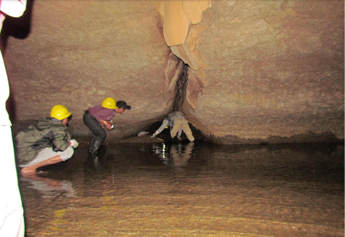 Researchers collecting a specimen.