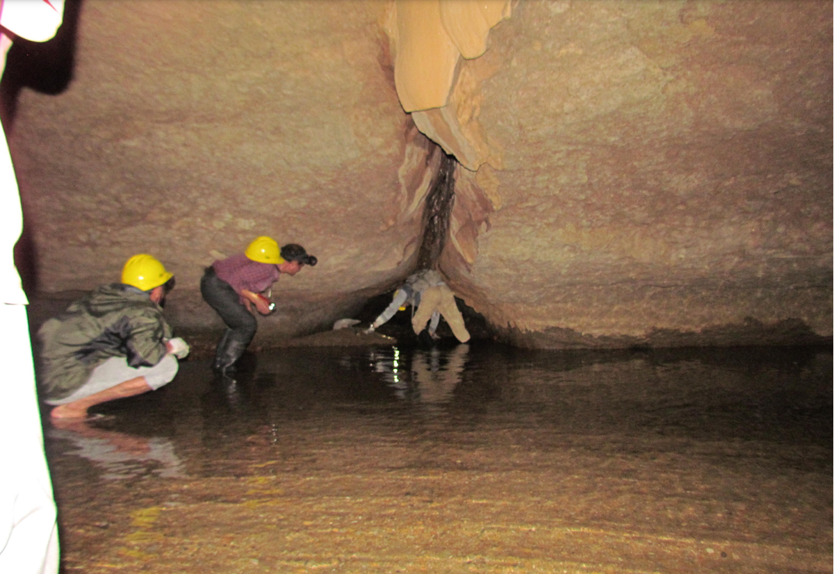 Researchers collecting a specimen.