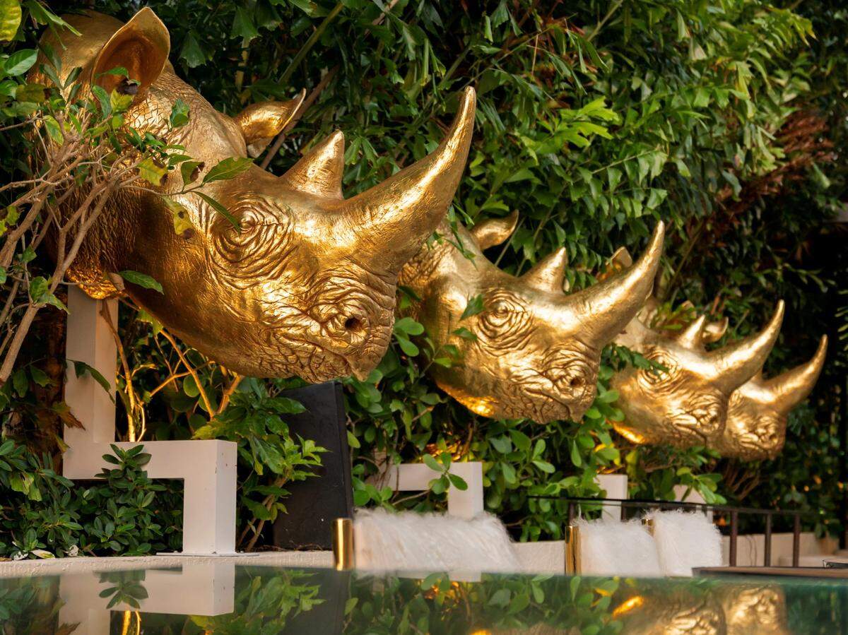 You want golden rhino heads? You’ve got golden rhino heads at Salvaje.