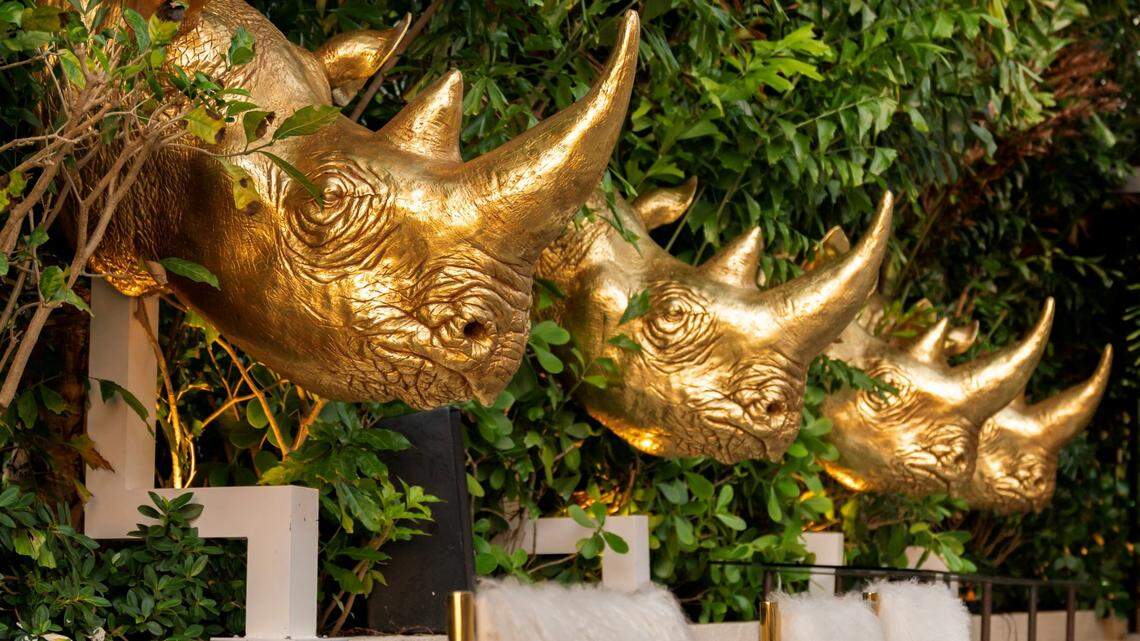 You want golden rhino heads? You’ve got golden rhino heads at Salvaje.