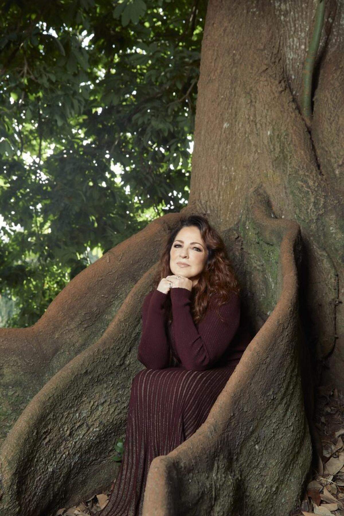 Gloria Estefan’s music videos for the album “Raíces” (Roots) were shot in Miami, including Fairchild Tropical Garden, pictured.