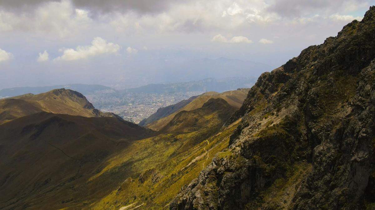 In the mountains north of Quito, Ecuador, a small new species is followed by a “very long tail,” researchers said.