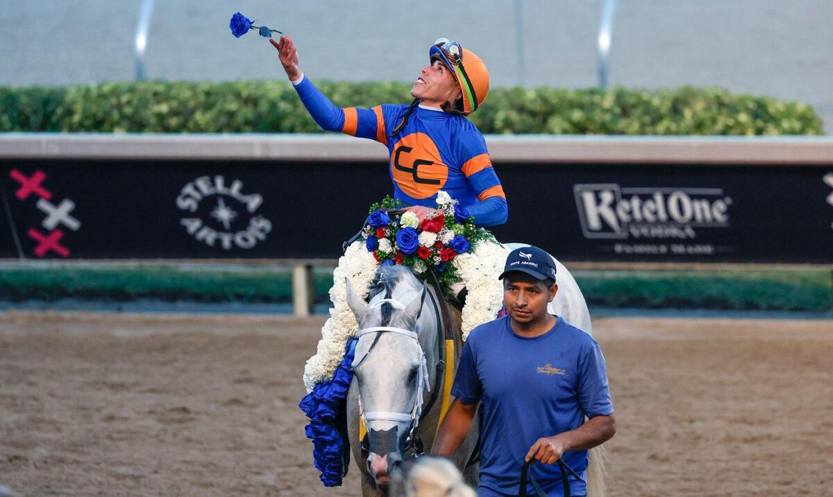 Jockey Irad Ortiz, Jr., riding White Abarrio #4, tosses a flower as he celebrates winning the 9th Running of the Pegasus World Cup Invitational at Gulfstream Park in Hallandale Beach, Florida on Saturday, January 25, 2025.