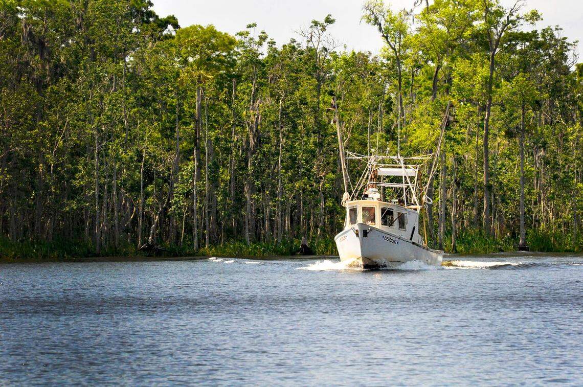 A shrimping boat cruises the Withlacoochee River.