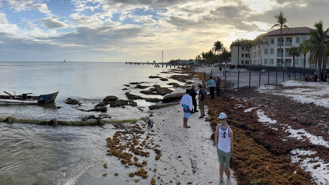 Three groups of Cubans arrived in the Florida Keys this week, and one boat was sinking