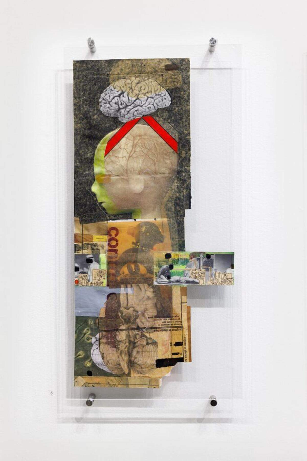Natalia Garcia-Lee, central control, 2025, mixed media, dimensions variable.