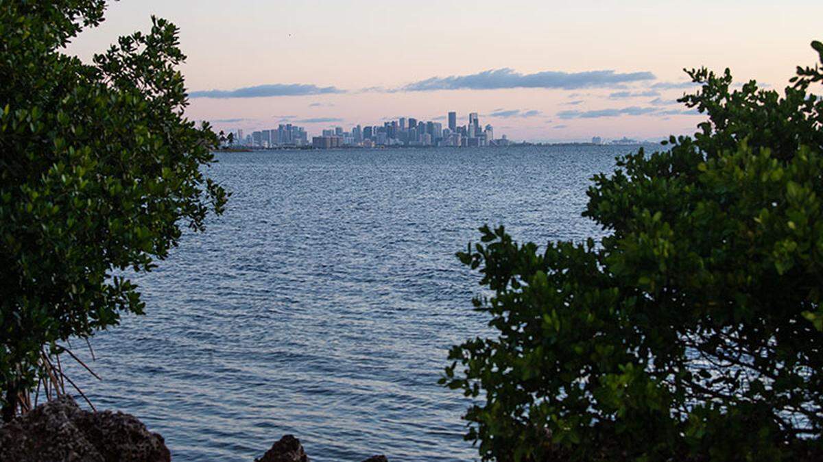 Republican State. Rep. Ileana Garcia worked with Democratic Sen. Jason Pizzo to establish the Biscayne Bay Commission.