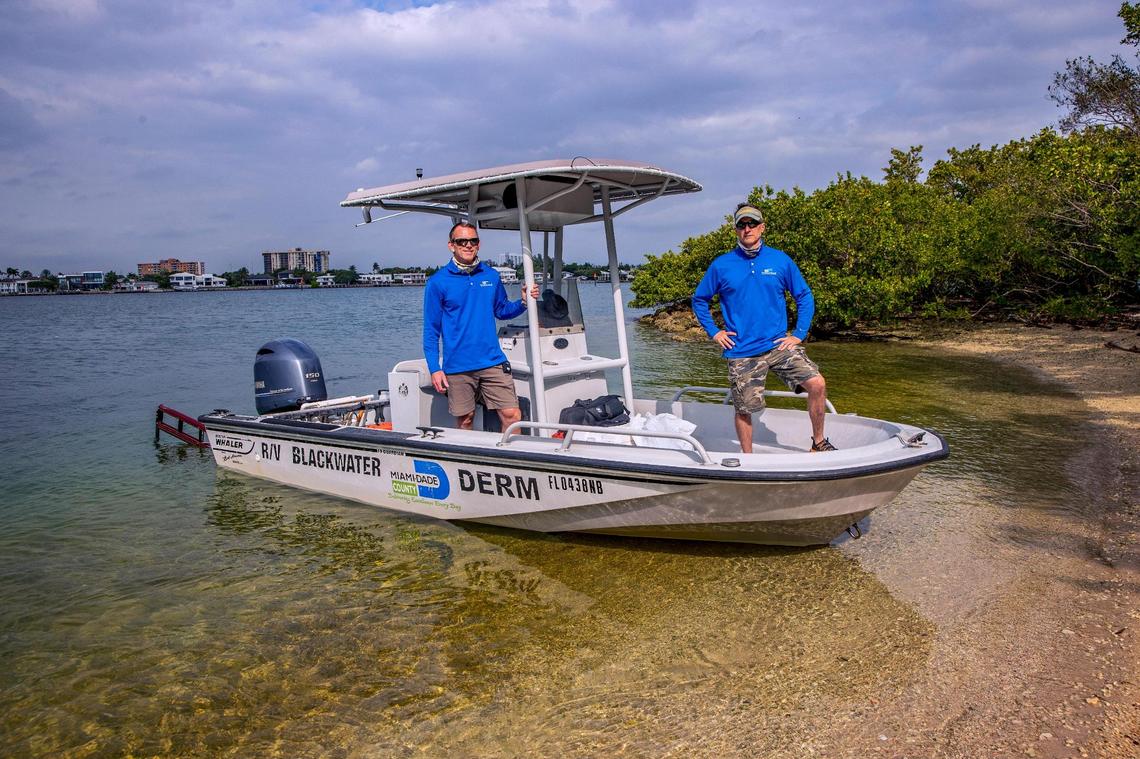 Josh Mahoney, left, a resources project supervisor and biologist Jonathan Sidner with the Department of Environmental Resources Management (DERM) visit Crescent Island B, part of the county’s former living shorelines projects on Biscayne Bay.
