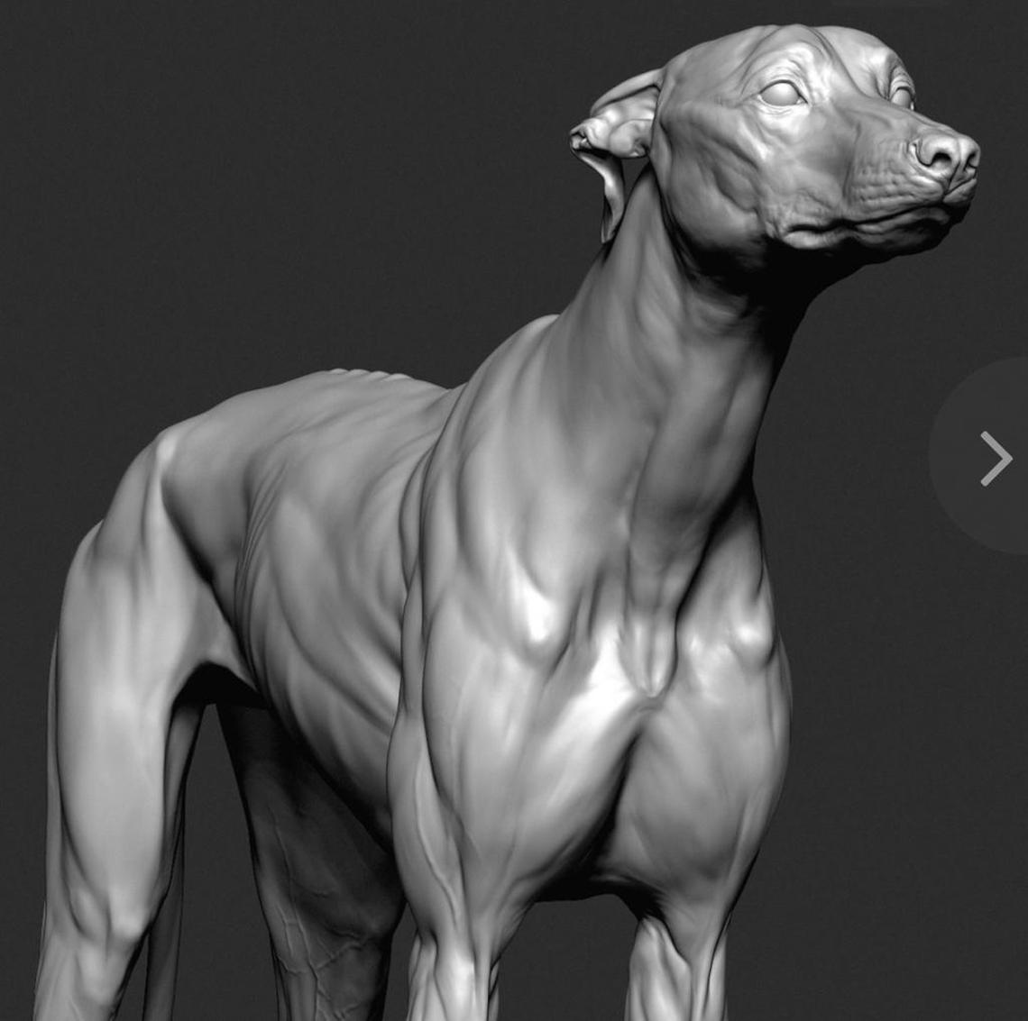 A rendering of a dog sculpture for a new sculpture garden at Maurice Ferré Park in downtown Miami.