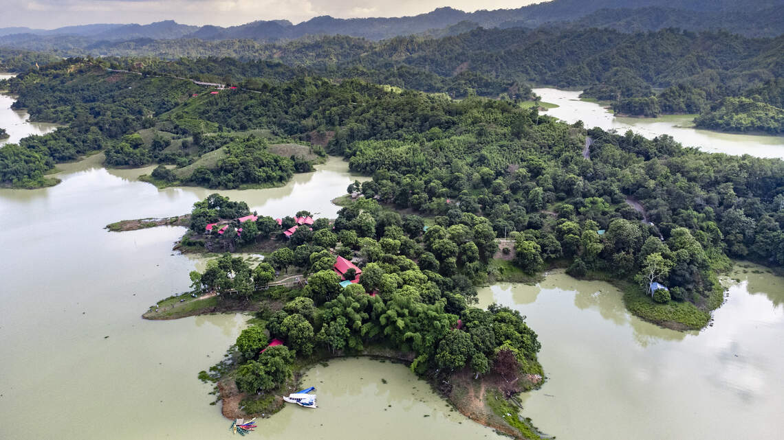 Tree creatures from ‘little known’ species spotted in Bangladesh for first time