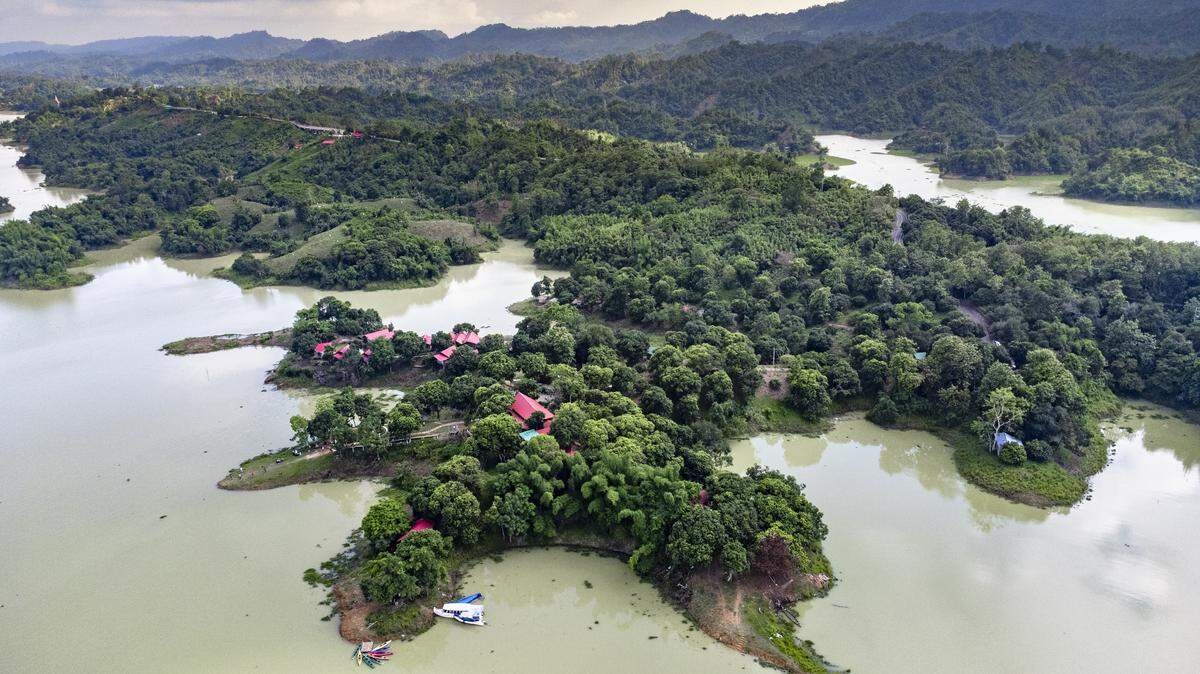 In a wildlife sanctuary and national park in Bangladesh, two tree species were recorded for the first time.