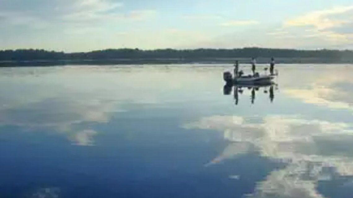 A rare metallic gold bass caught in Florida’s Lake Tarpon has a condition known as xanthism, state marine biologists say.