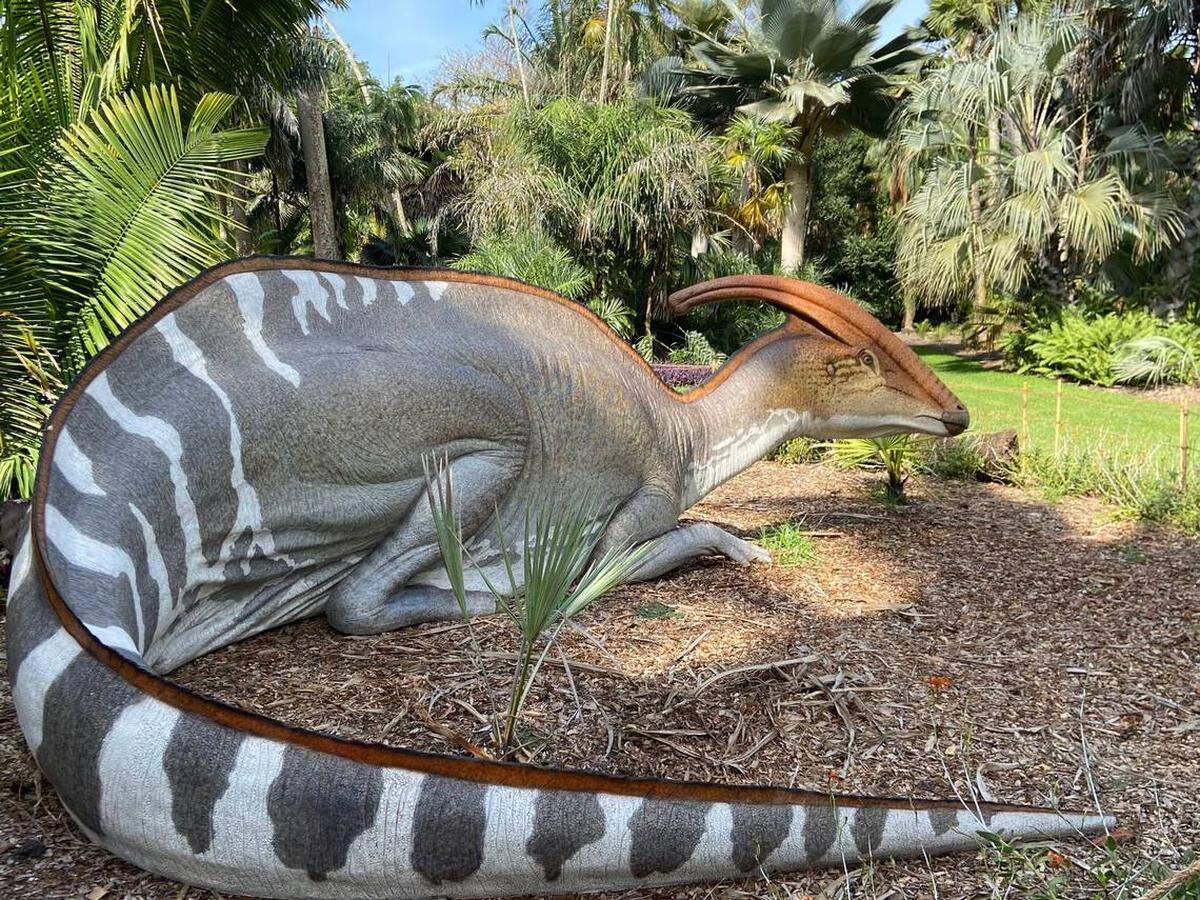 Take your photo with a new prehistoric friend at Fairchild Tropical Garden.