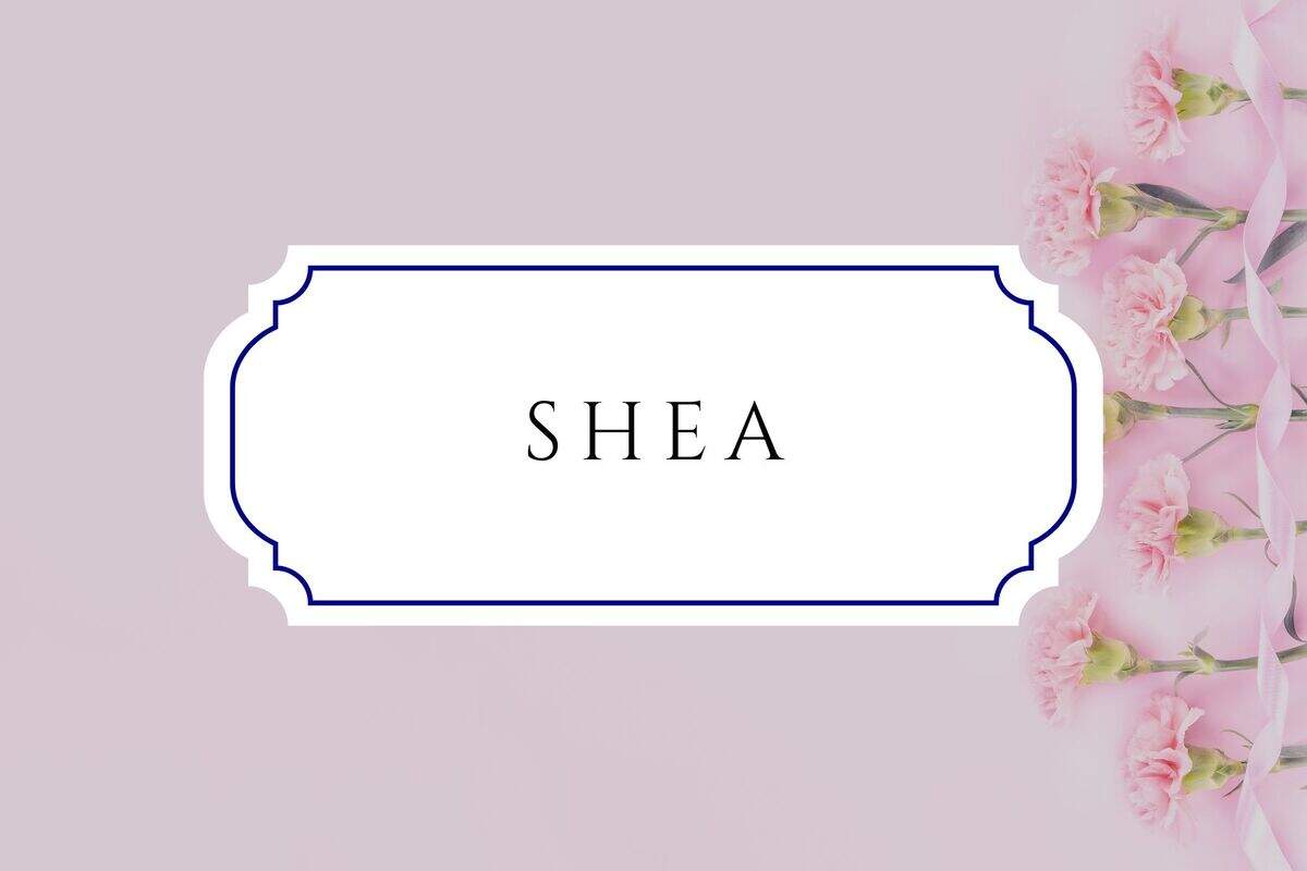 trevor lawrence baby names shea