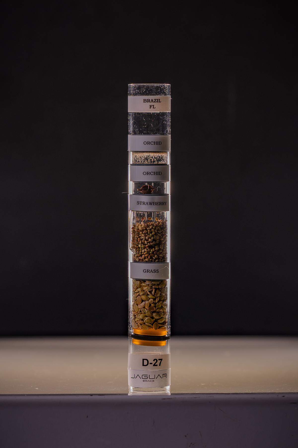 Seeds were sent with scientists in a rocket to space at the Kennedy Space Center in Florida this week. The hope is that the seed’s DNA adapts to be more climate resilient on Earth.