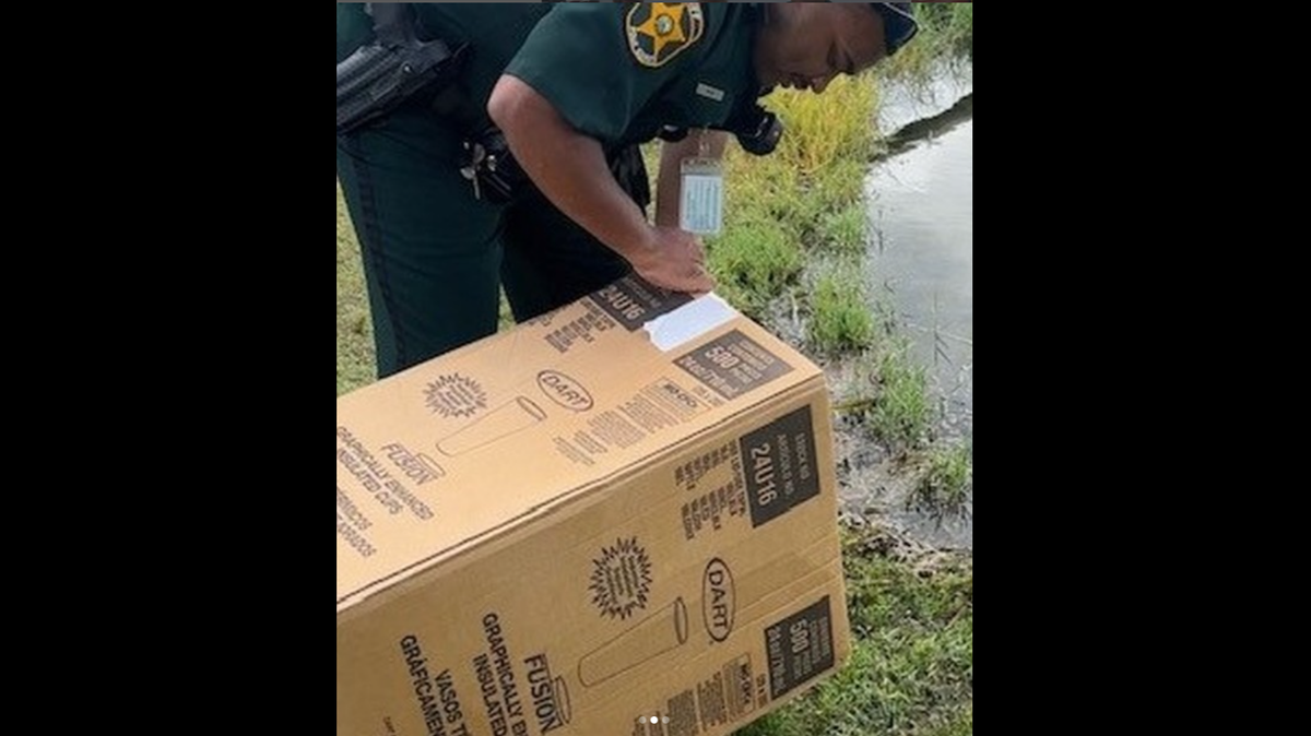 Florida’s Polk County deputies helped a turtle that was walking along a road near a Publix return to a pond in Winter Haven