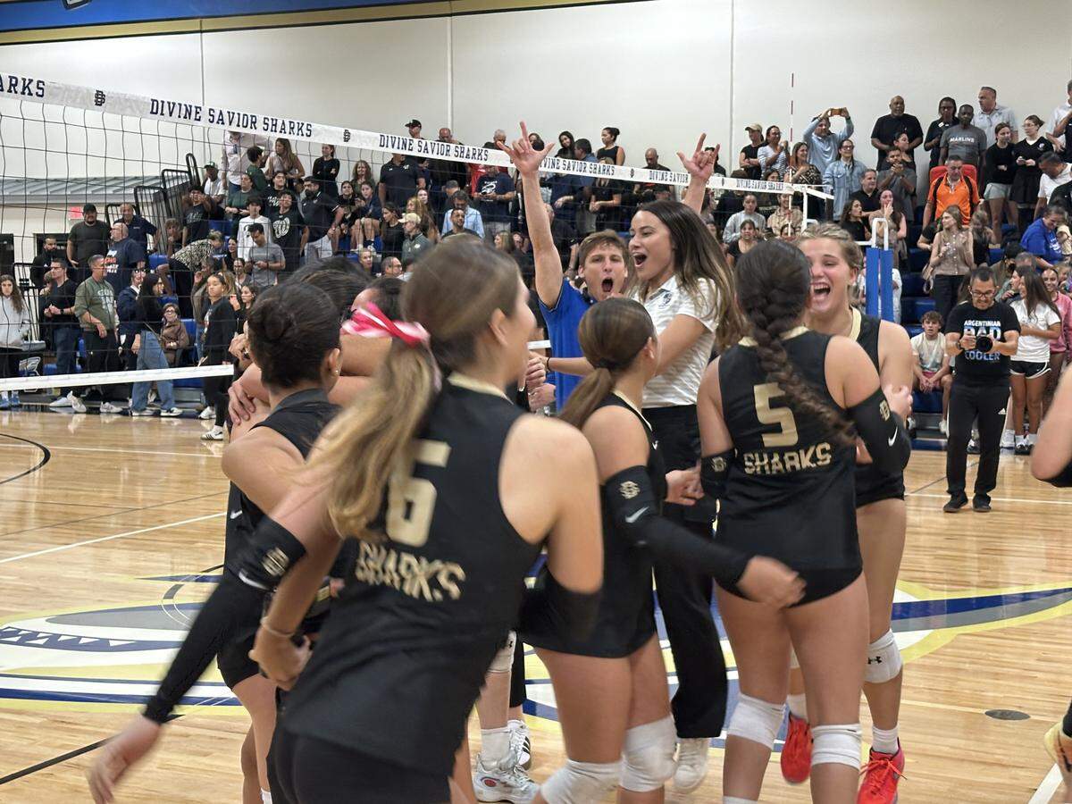 Divine Savior girls’ volleyball players and coaches congratulate each other on the court after beating Miami Westminster Christian in the Region 4-2A championship match on Tuesday, Oct. 28, 2025 at Divine Savior Academy in Doral, Fla.