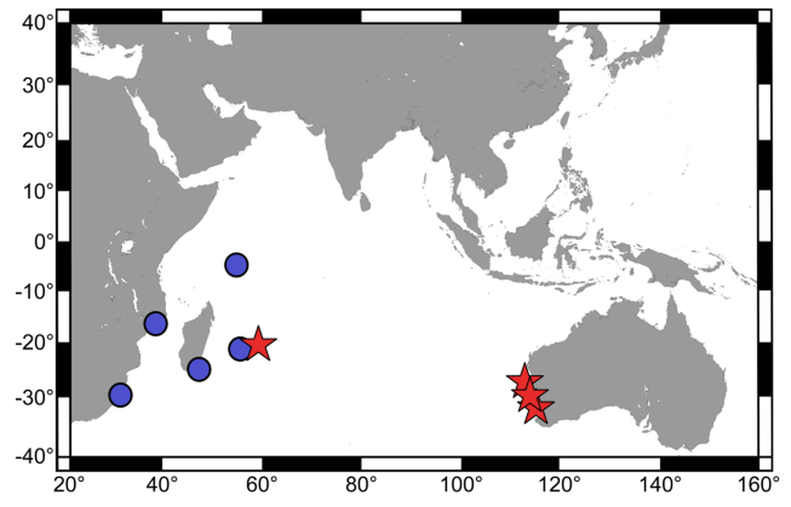 The scorpionfish were collected off the west coast of Australia, across an ocean from previous records.