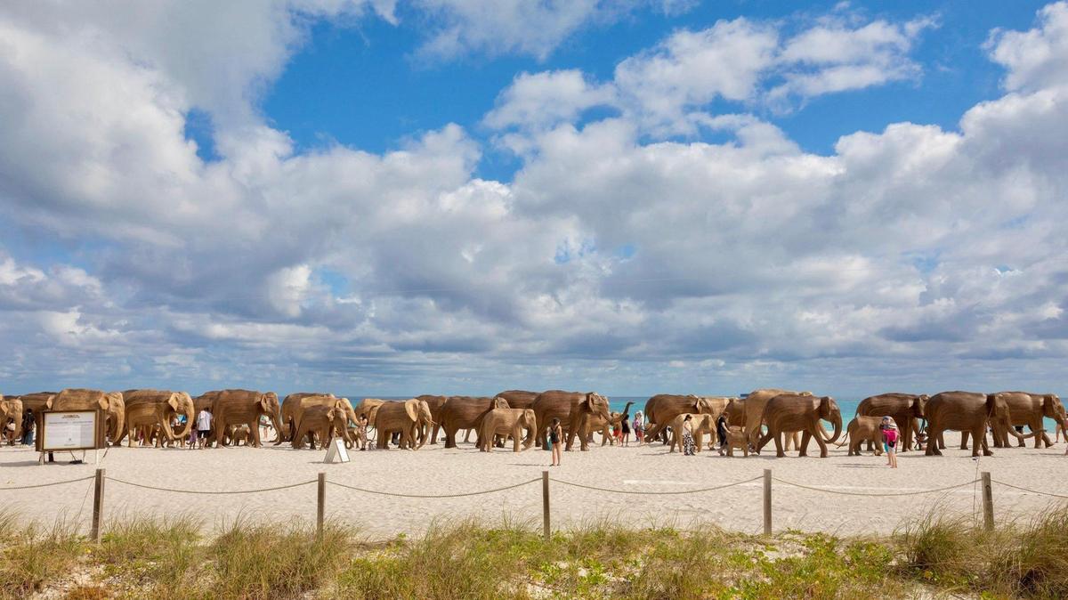 Desde la distancia, la Gran Migración de Elefantes parece una verdadera manada de esos maníferos. Ubicada en Miami Beach, cerca de la calle 36, la instalación permanecerá en pie durante la Semana del Arte de Miami para generar conciencia sobre los esfuerzos de conservación.