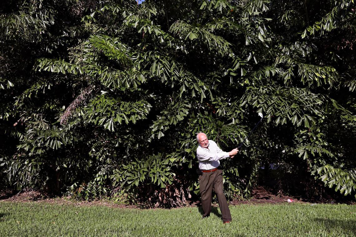 Avid golfer and Trump Doral member Peter Brooke is an outspoken advocate for former members waiting for the Trump Organization to return their deposits. Here, Brooke shows the scale of the trees Trump had planted that block some of his view of the Silver Fox golf course on Thursday, August 15, 2019.