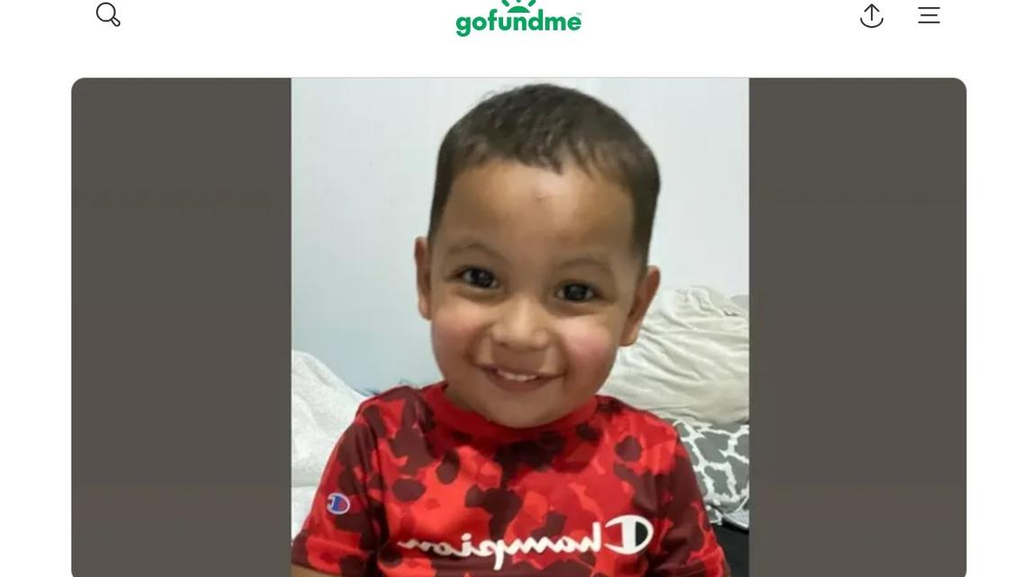 Elian Maradiaga, 2, was hit and killed by a pickup truck in a parking lot in Metairie, Louisiana, police said.
