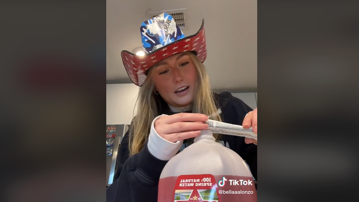 “The future is in good hands,” one person said on TikTok — but the borg doesn’t come without risks.