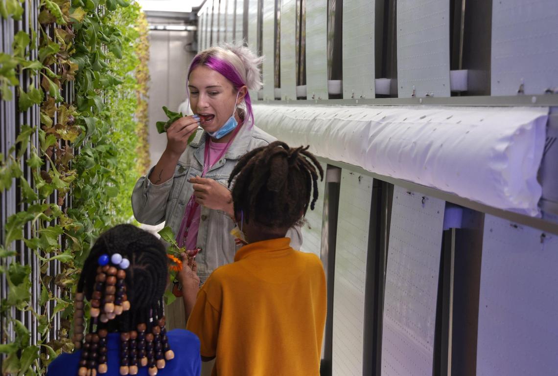 Jackie Roth, center, innovations and program development director at Lotus Village, samples a turnip grown inside the hydroponic farm with two young gardeners.