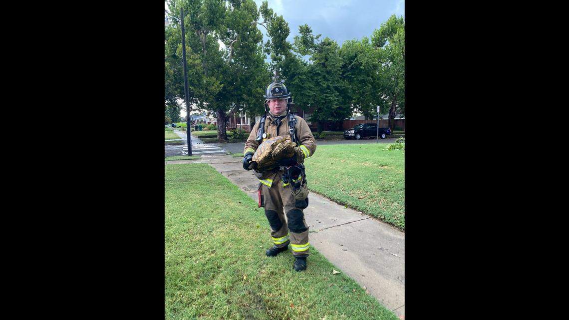 A parrot and a tortoise were rescued in an Oklahoma house fire. The parrot was camera shy, the Oklahoma City Fire Department said.