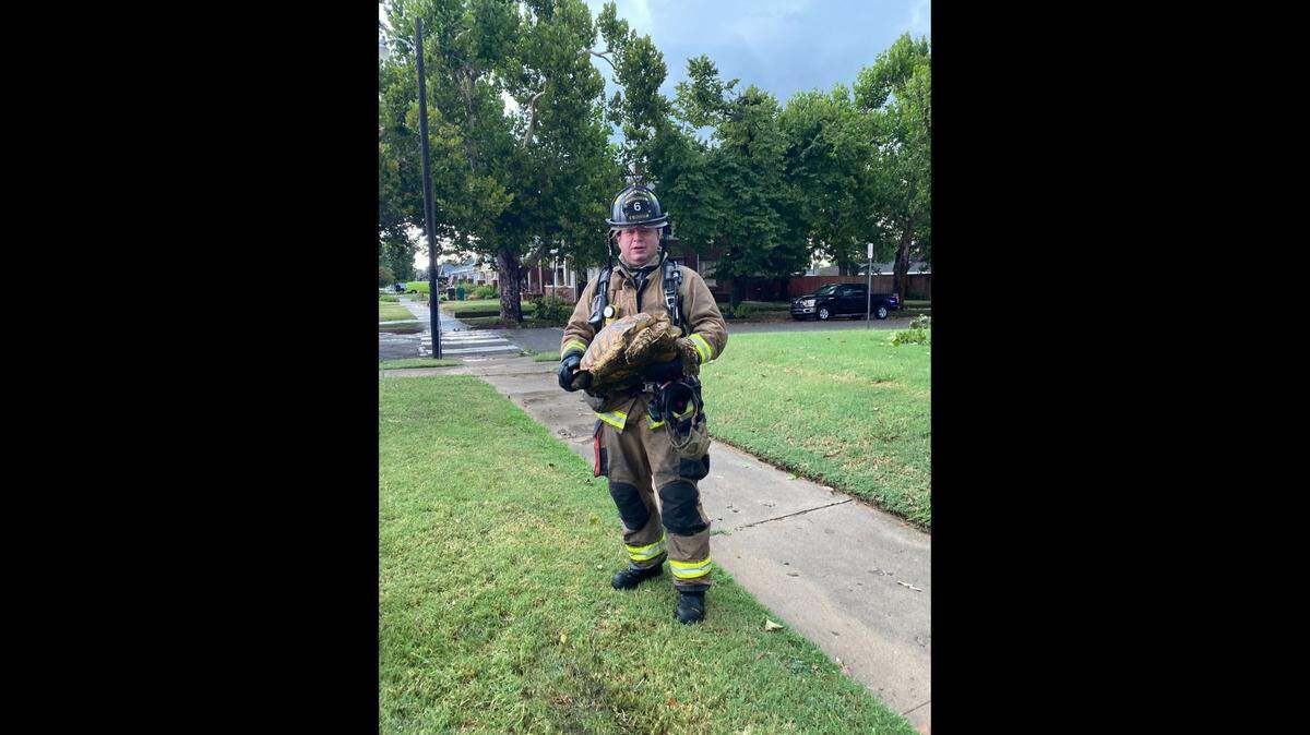 A parrot and a tortoise were rescued in an Oklahoma house fire. The parrot was camera shy, the Oklahoma City Fire Department said.