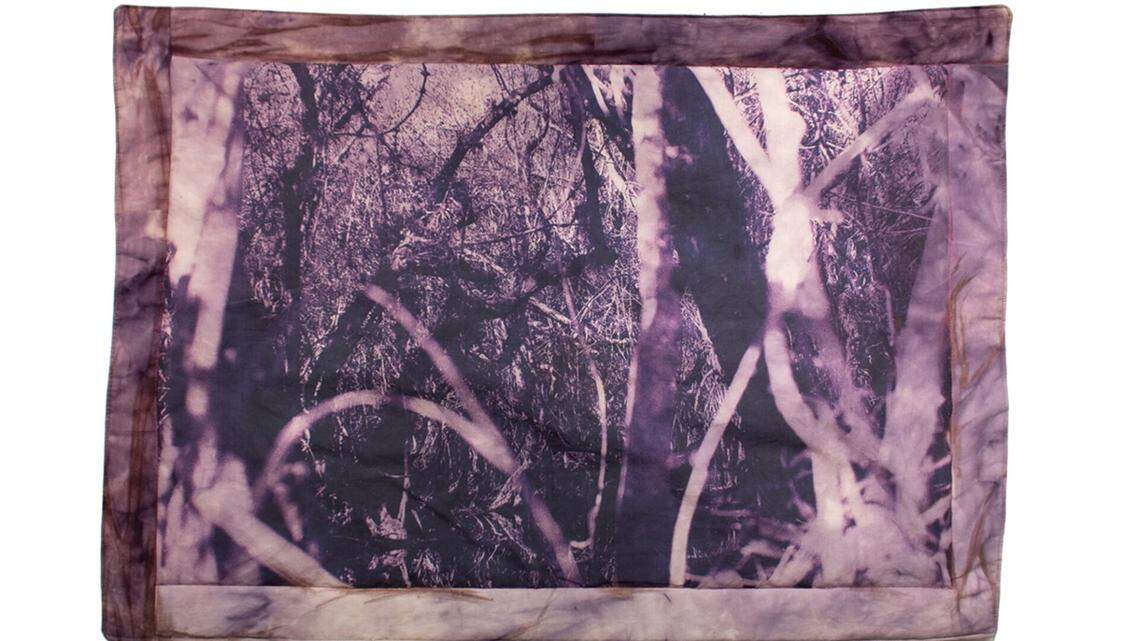 Review: At MoCA North Miami, a promising debut raises questions about AI