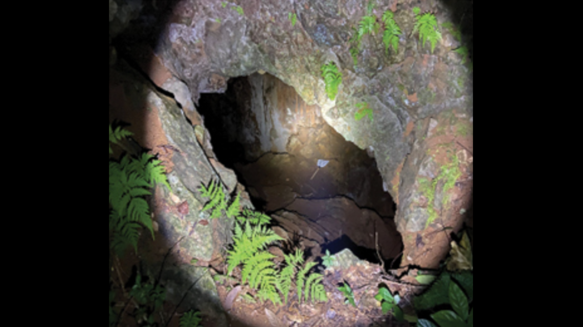 Through a small opening in a karst region of China, a pool of water held a blind new species.